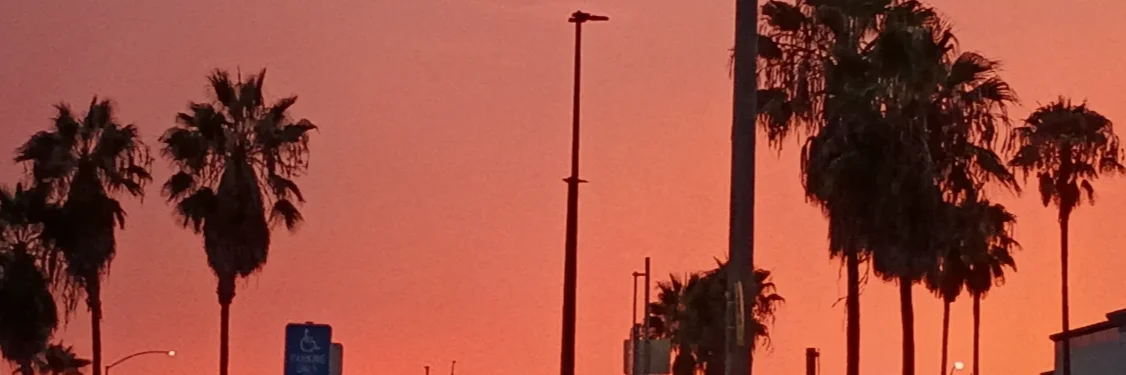 Profile banner