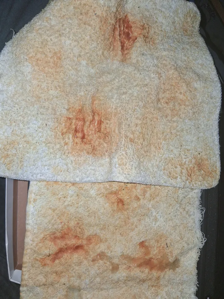 my cum rags, i love porn so much.