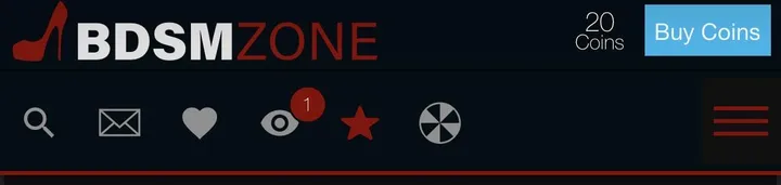 BDSM Zone