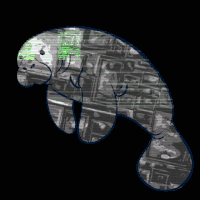 I LOVE MANATEES (image 2 of 3)