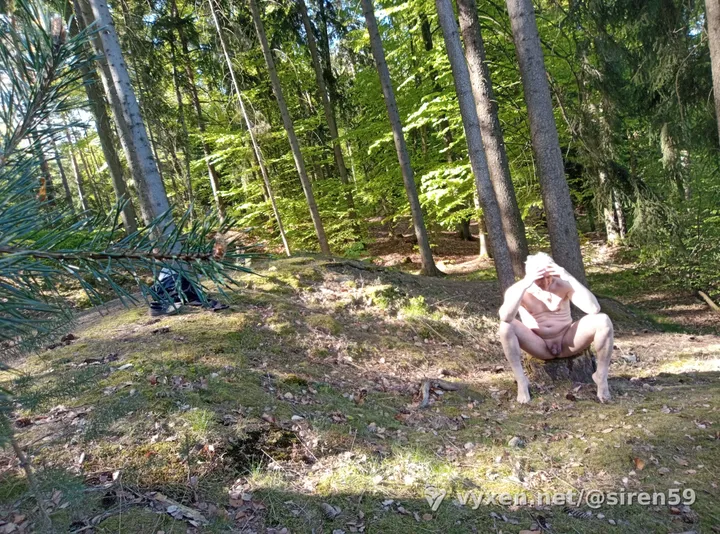 Не пеньку