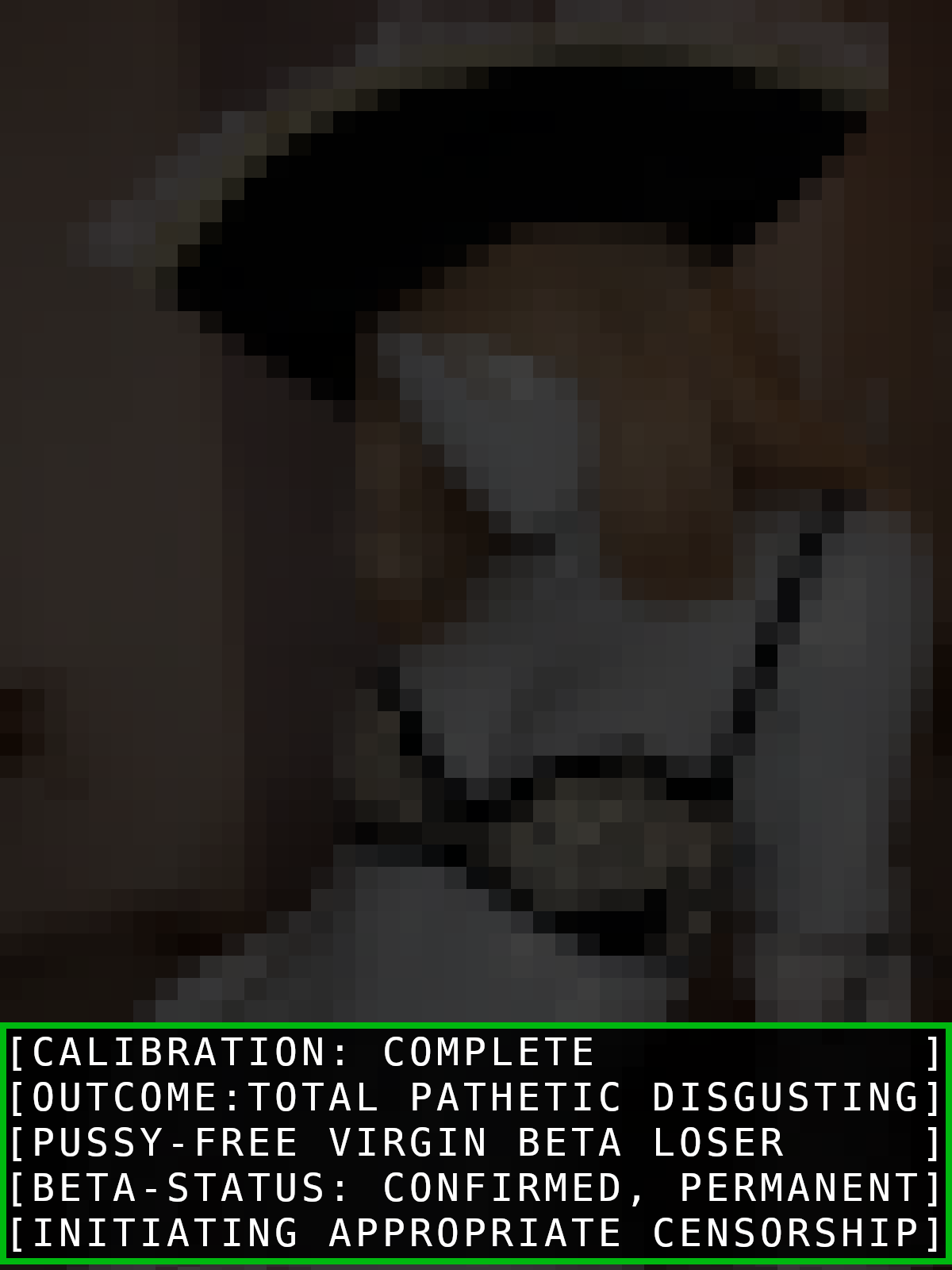 The Proper Censored POV for Beta Losers [Version 1/2] (image 20 of 20)